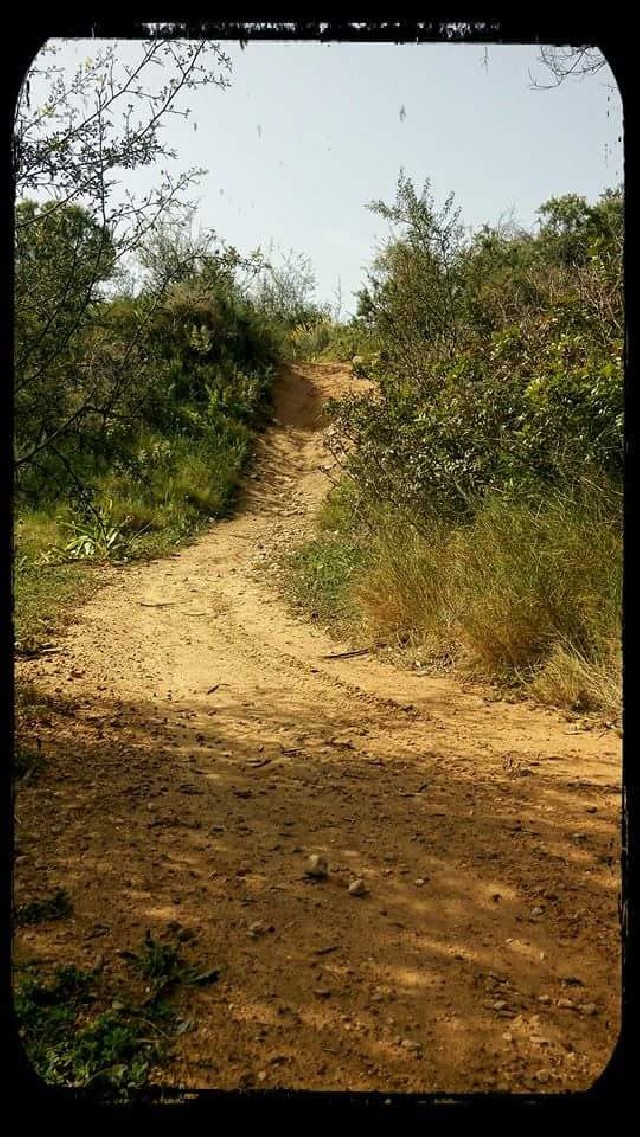 David  Altet Rodriguez