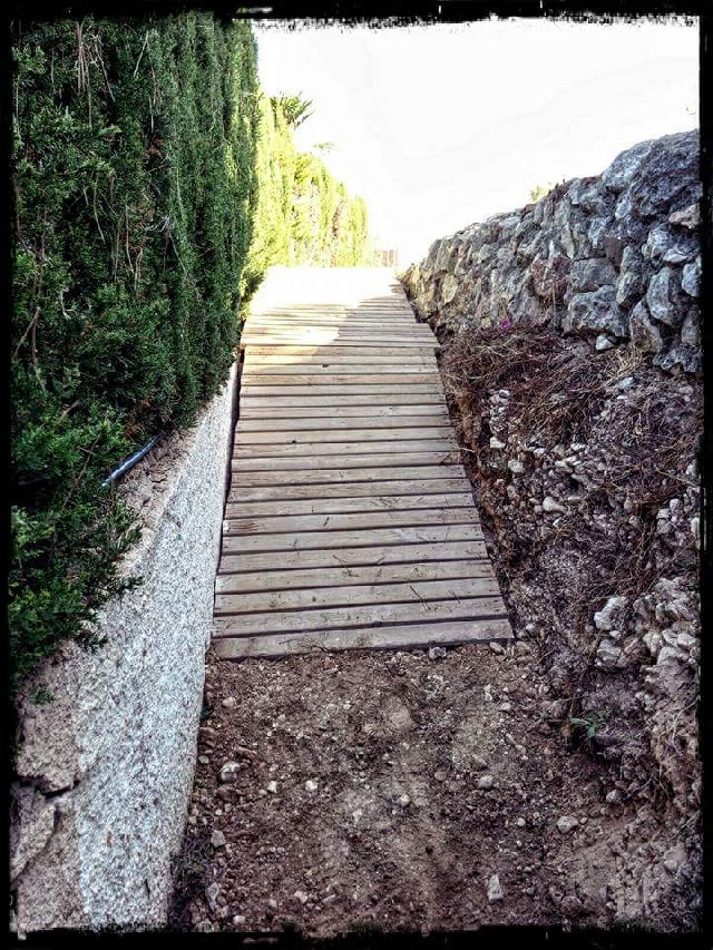 David  Altet Rodriguez