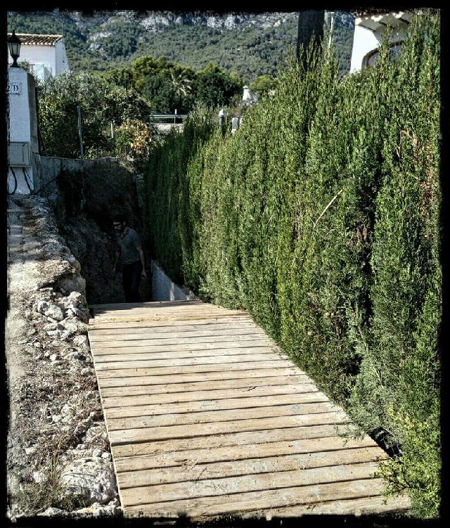 David  Altet Rodriguez