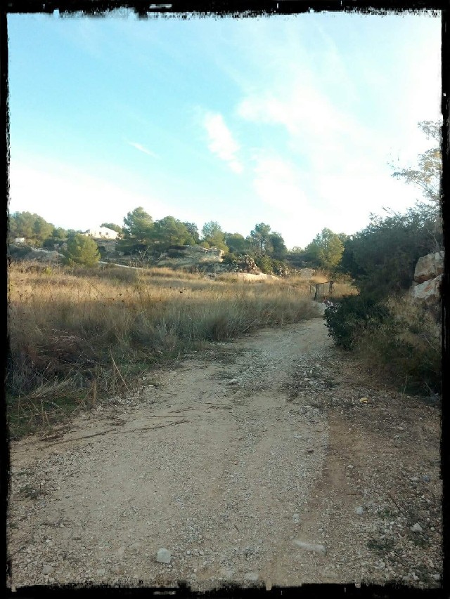 David  Altet Rodriguez