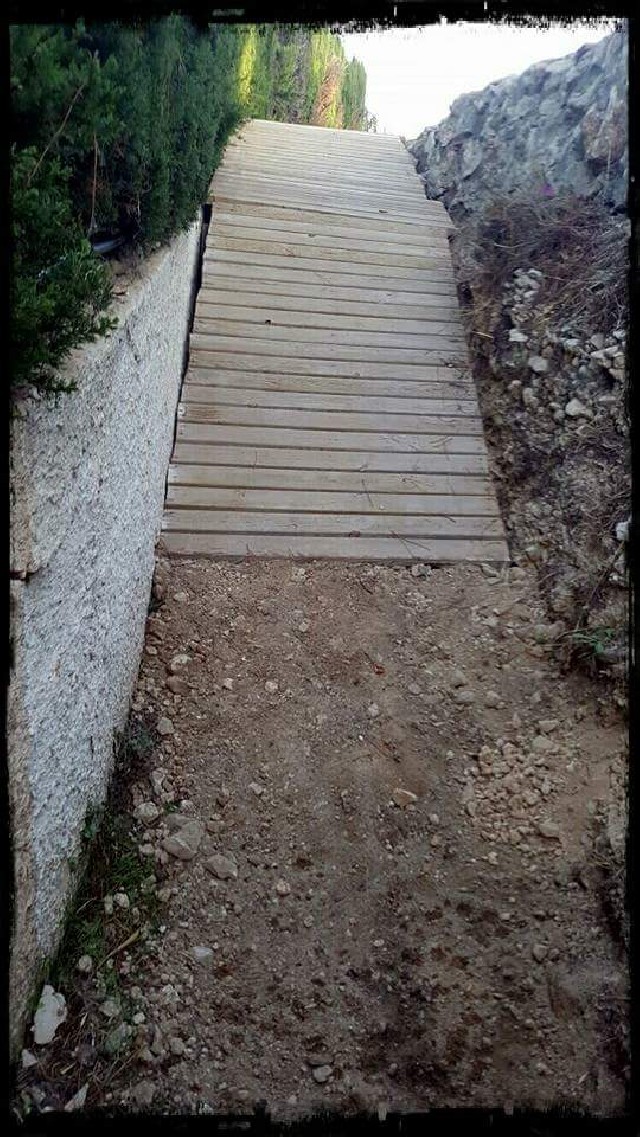 David  Altet Rodriguez