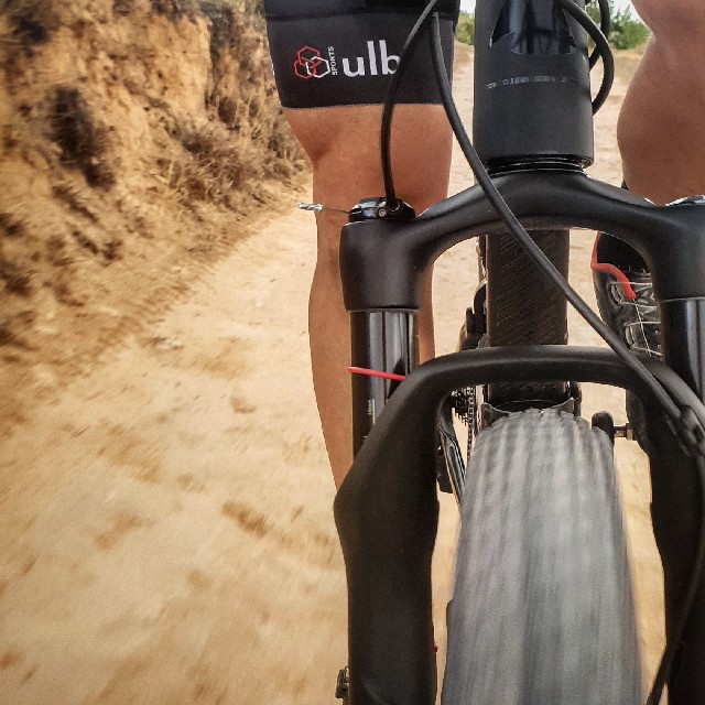 Francisco Javier Amoros Ayelo