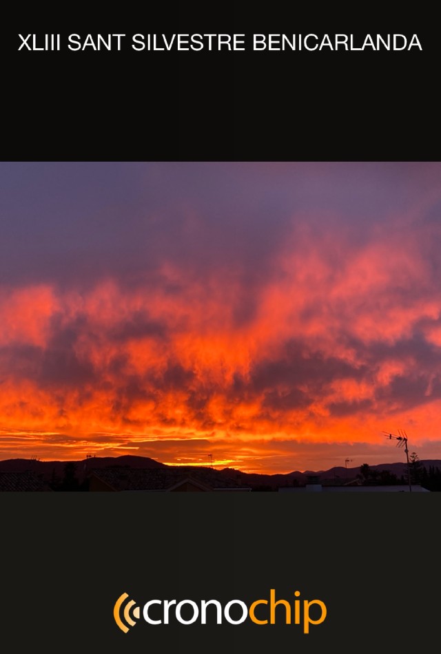 Marta Hernandez Herrero