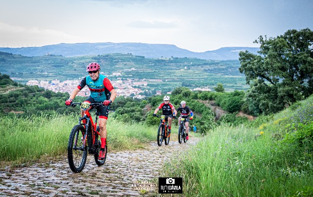 Javier Marques Castillo