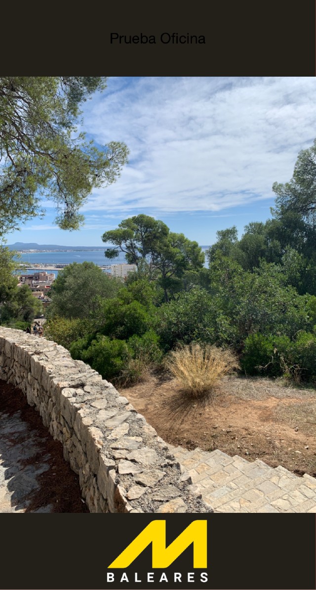 David Thompson Foronda