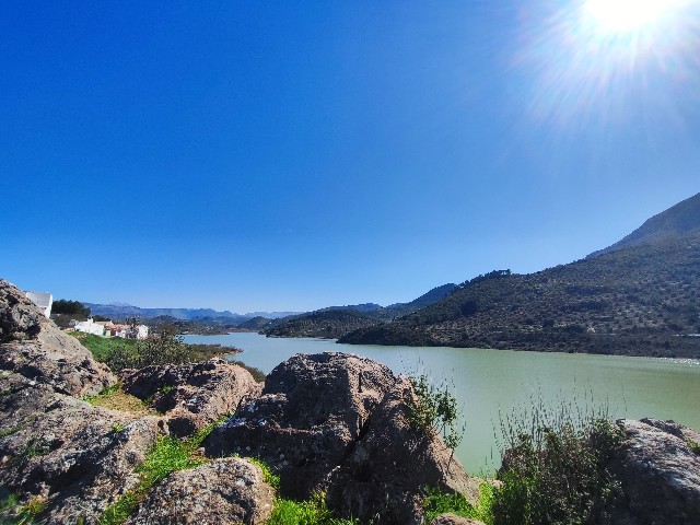 Eduardo del Castillo Martínez