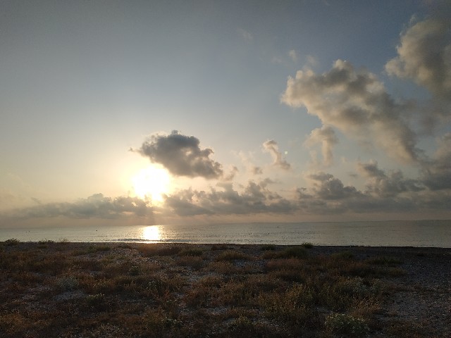 Vicente Barberá Picazo