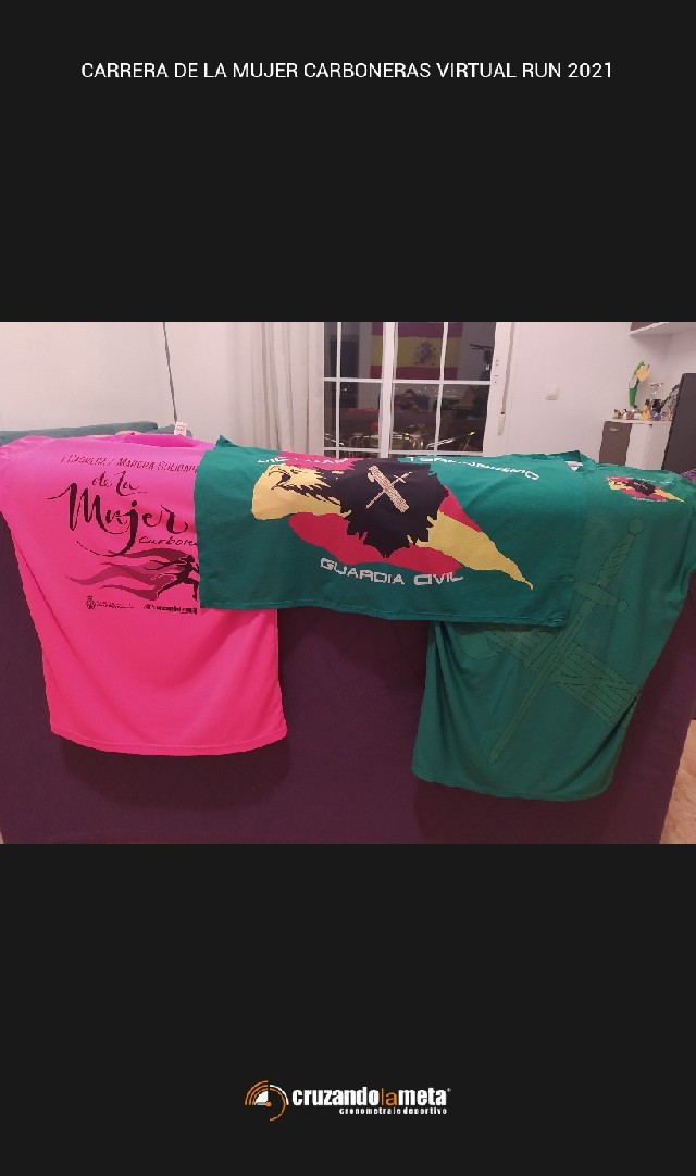 Francisco Javier Soler Soto