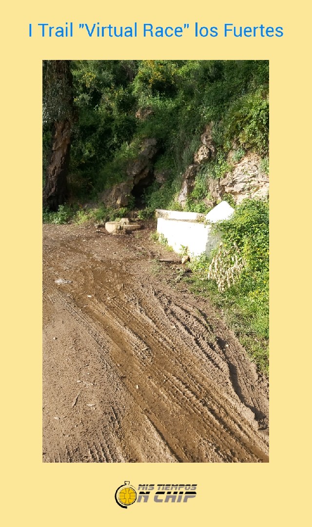 Manuel  Contreras Escudero 