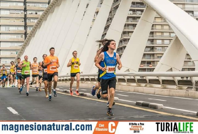 vicent cases navarro