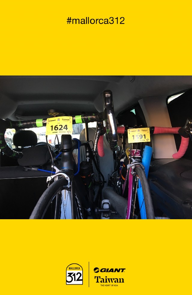 Olivia Yague Hollingworth