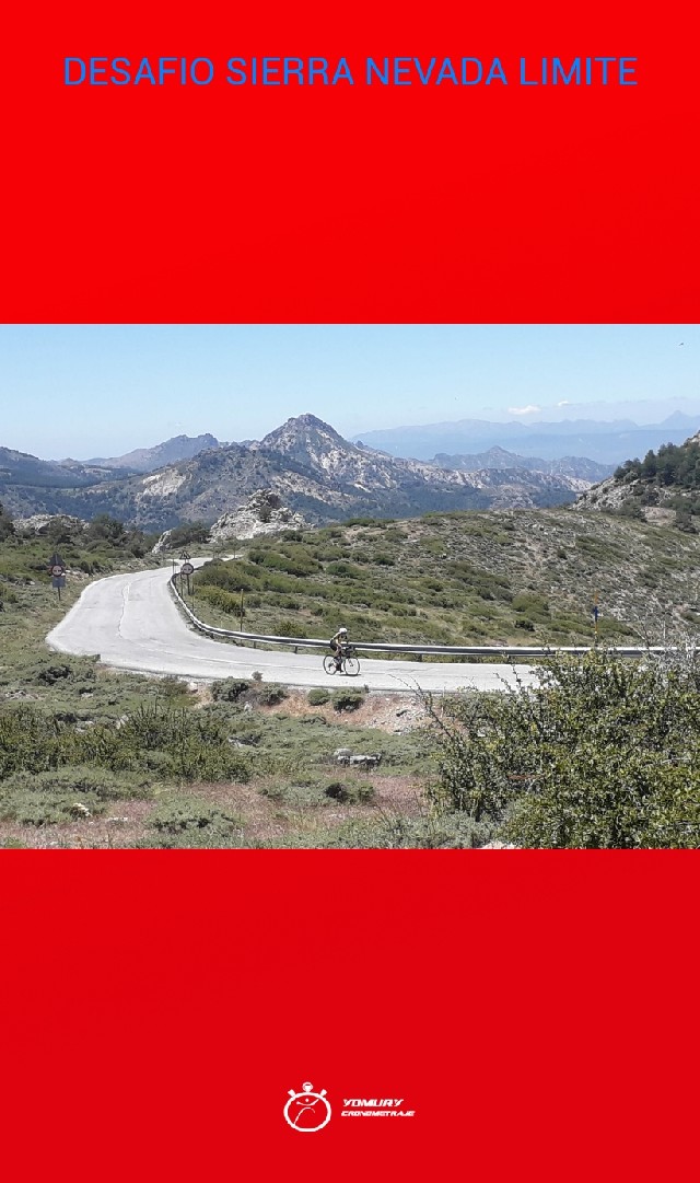 LUIS JAVIER ROCA LÓPEZ