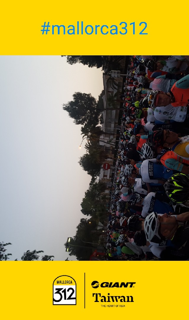 Miguel Ángel  García Moreno 