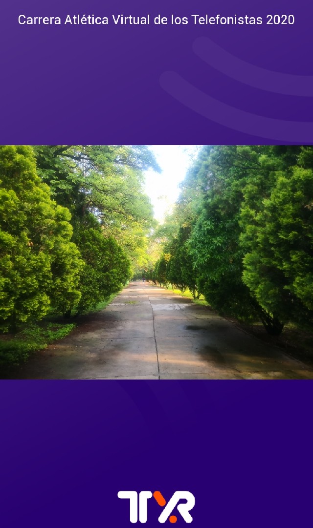 Marco Polo Espinosa Villarreal