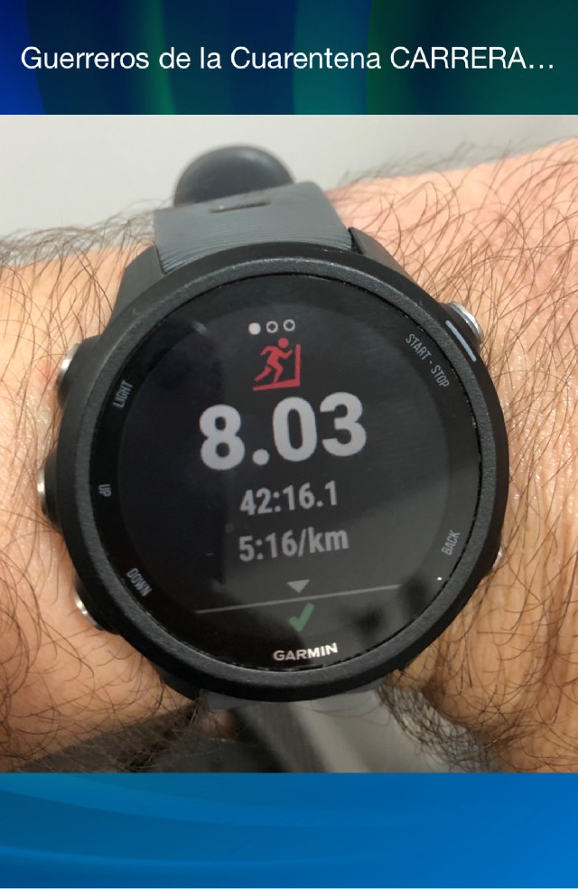 edwin josue  trevino rodriguez 