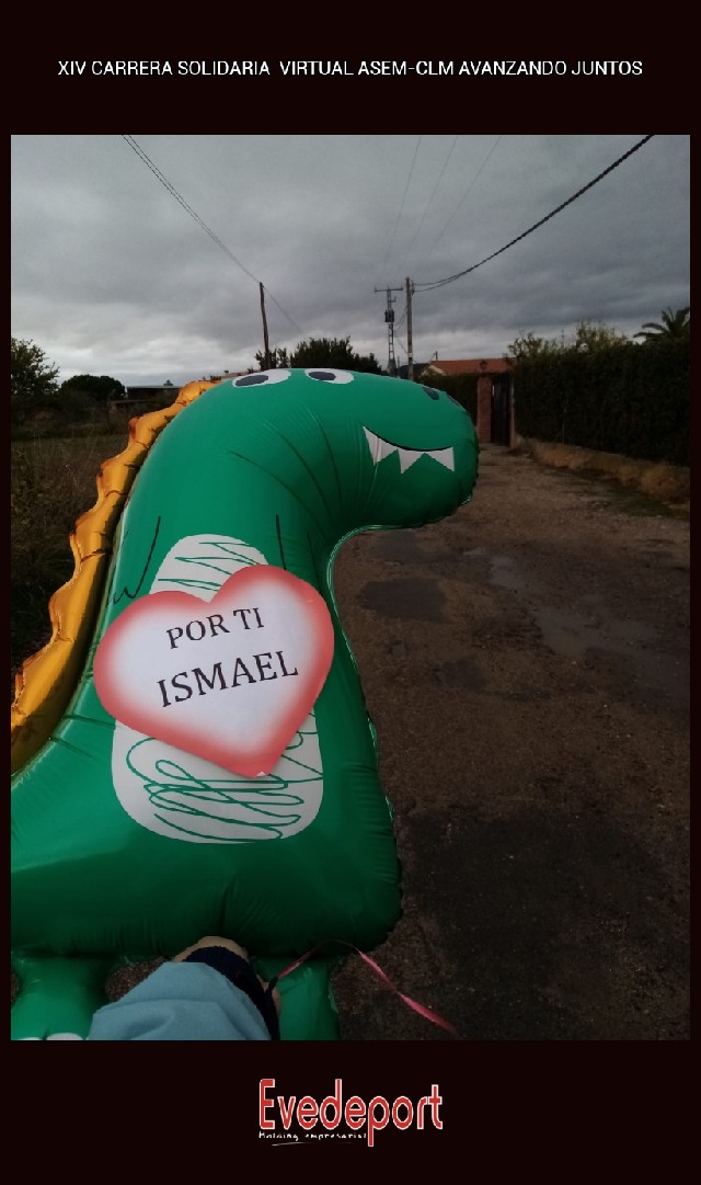 jose francisco del cerro timon