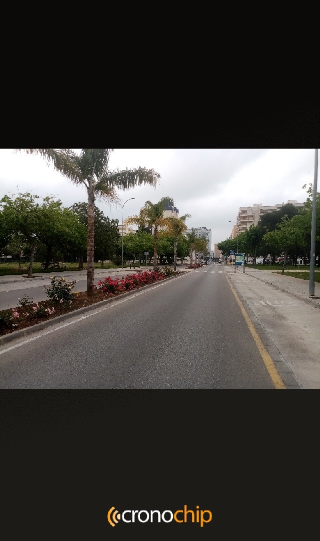 Sagrario  Bou Martinez