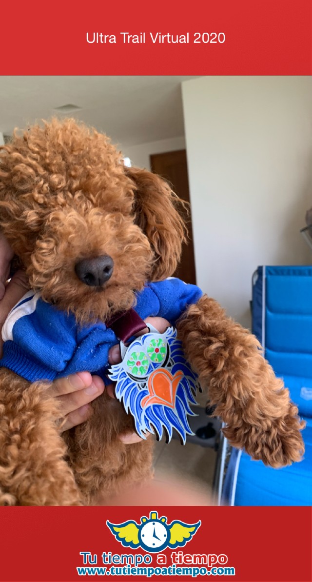 Pedro Antonio Salas I