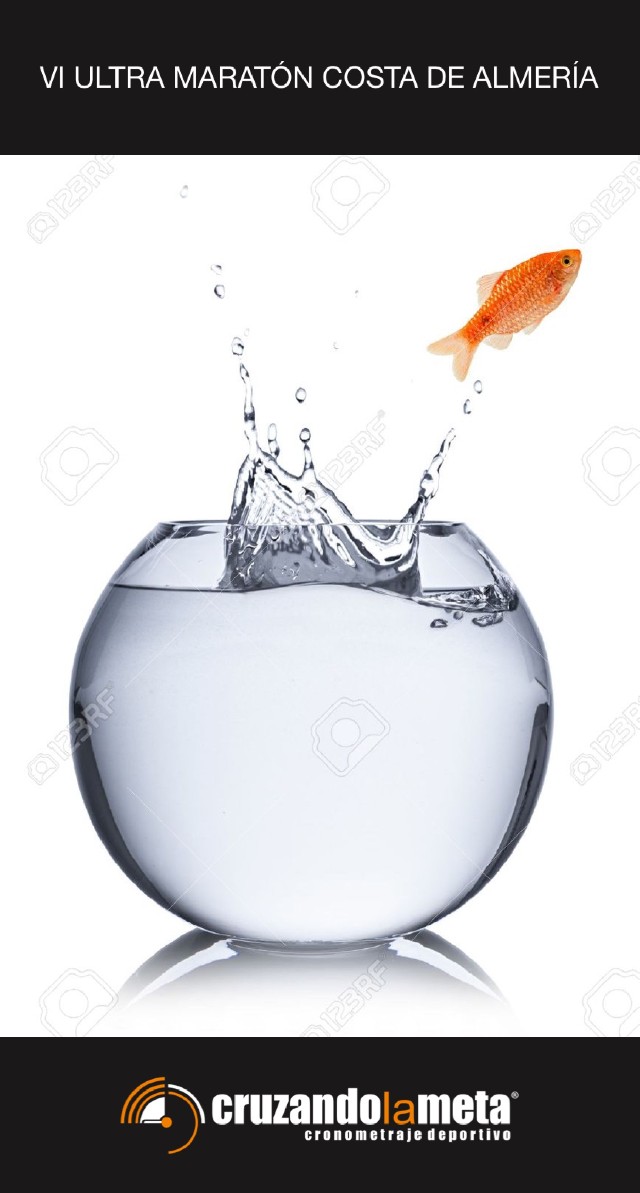 Francisco Martin Ruiz Lavela