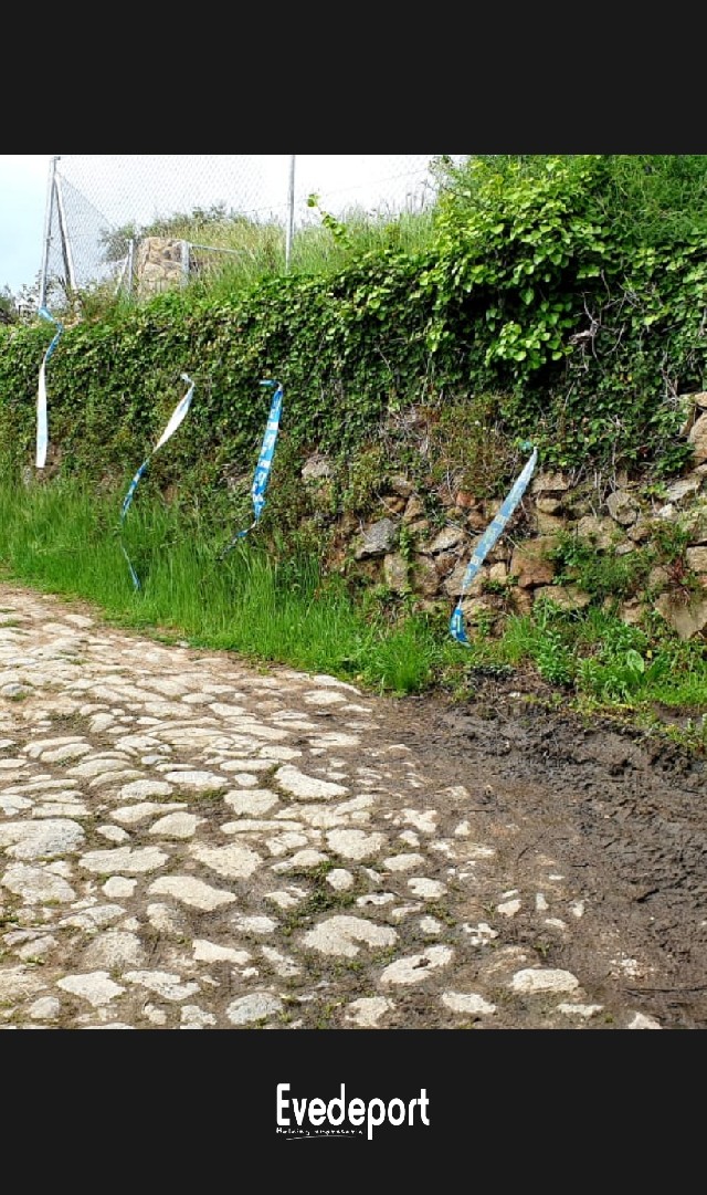 Mario Plasencia Gallego