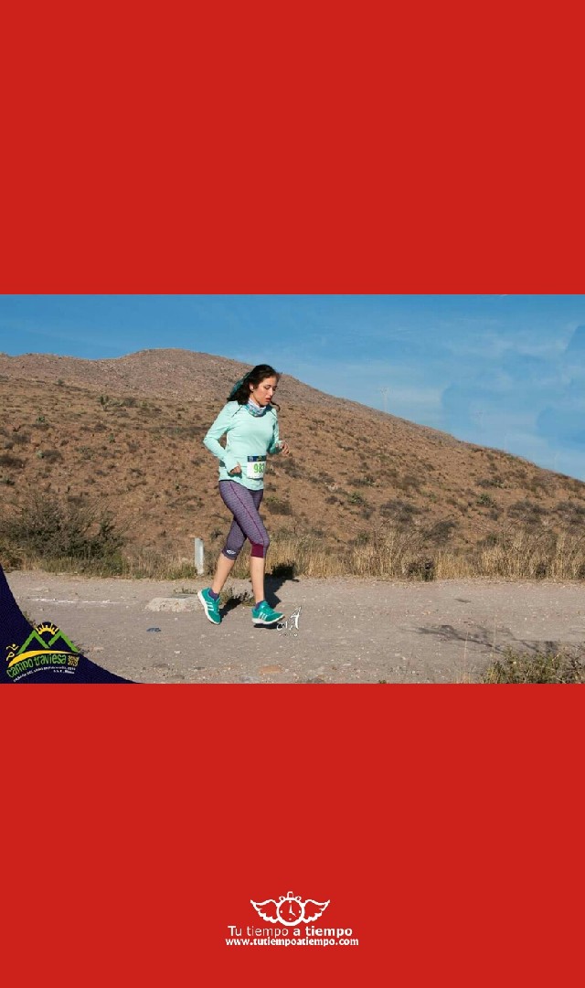 Monica Gutierrez Castillo