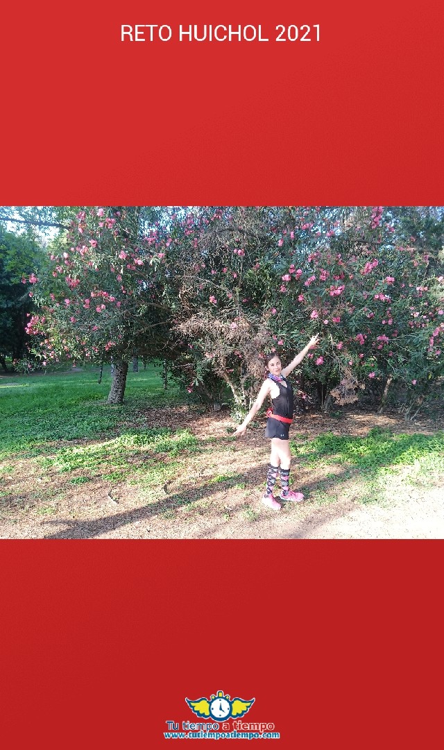 Monica Gutierrez Castillo