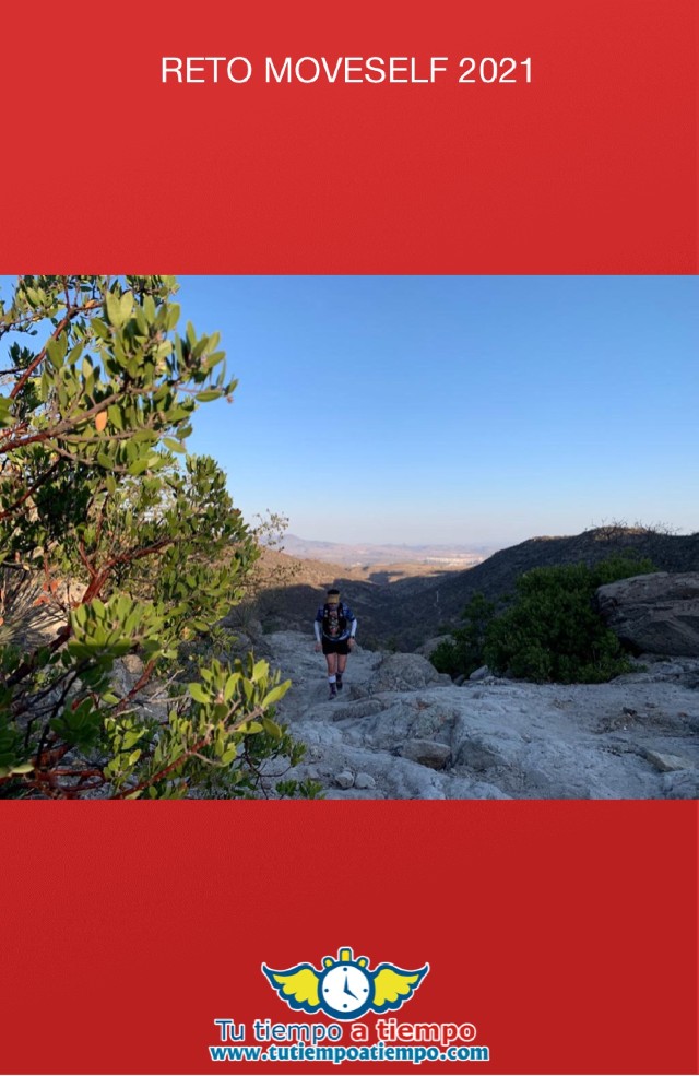 oliva lorena torres rivera