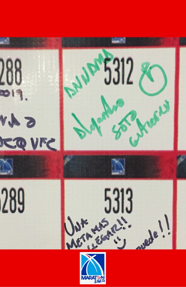 Alejandro Soto Gutiwrrez