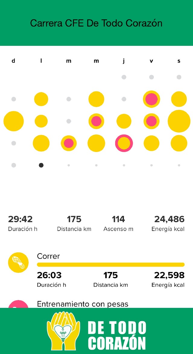 Fernando Francisco Lopez Baltazar