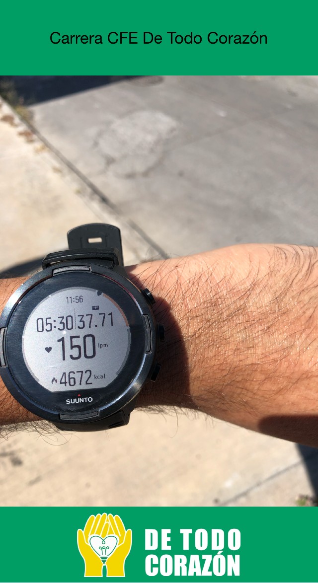 Fernando Francisco Lopez Baltazar