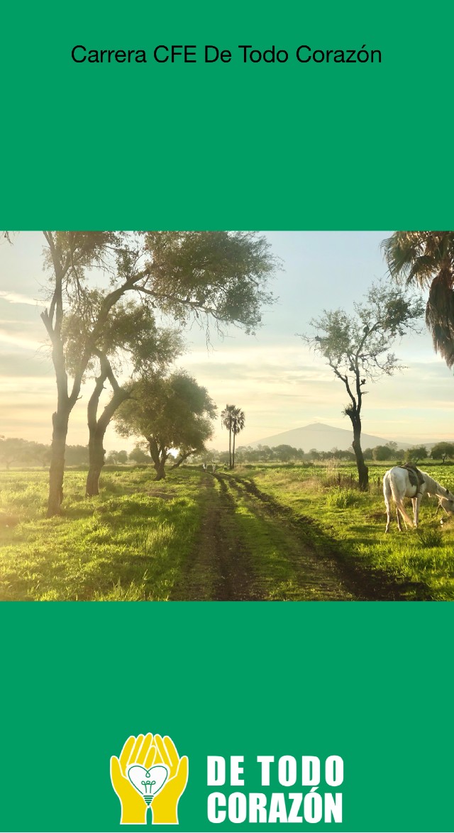 Fernando Francisco Lopez Baltazar