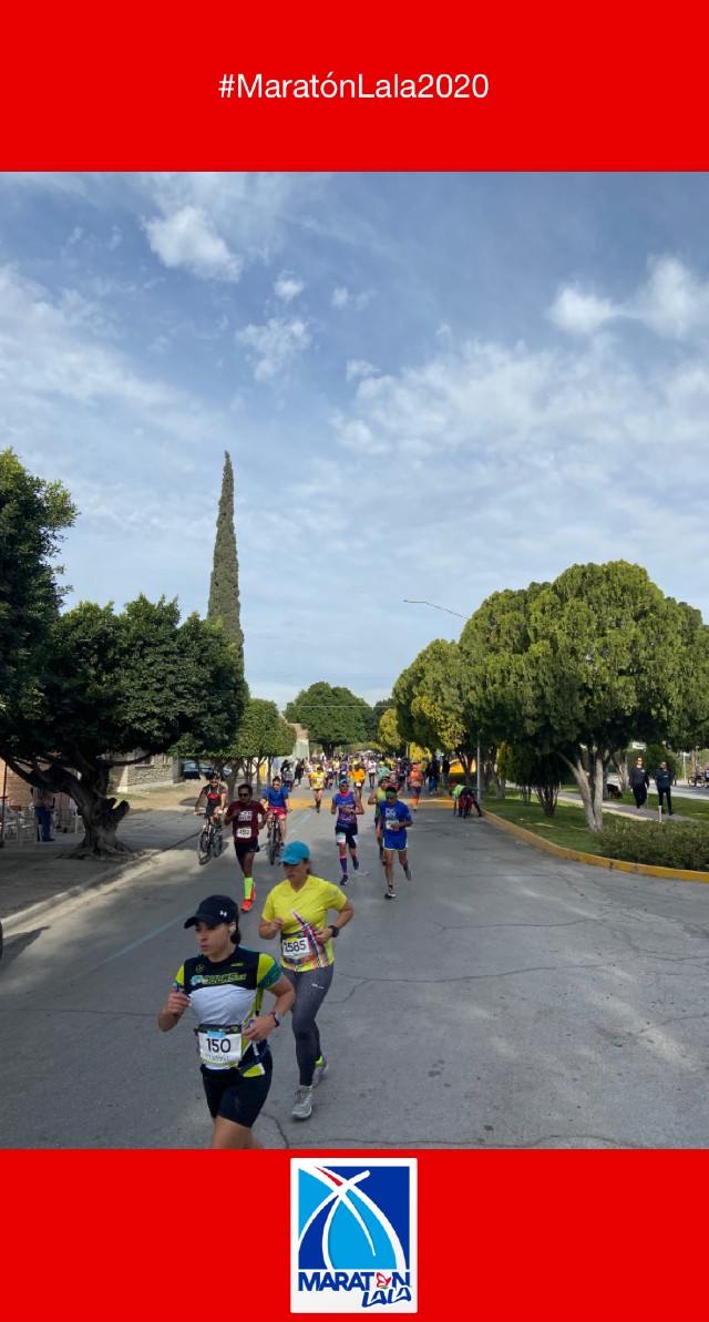 benjamin navarro sada