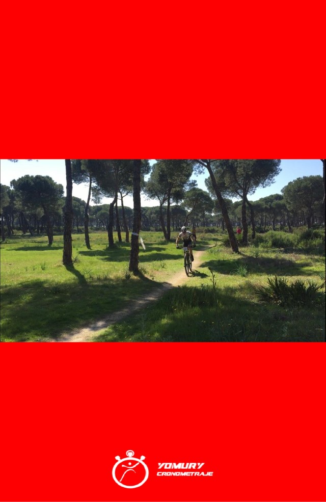 Daniel Jiménez Vergara