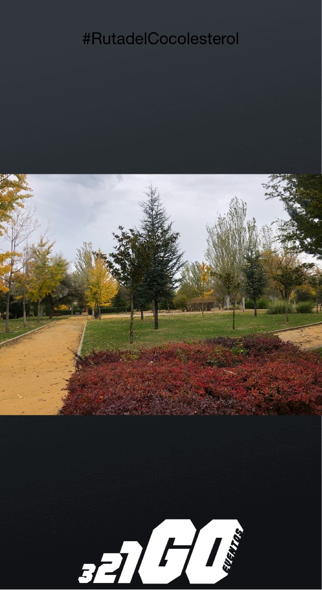 Encarna Angosto Trillo