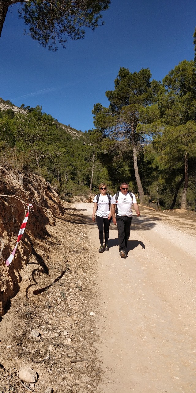 Rafa Hernandez Domenech