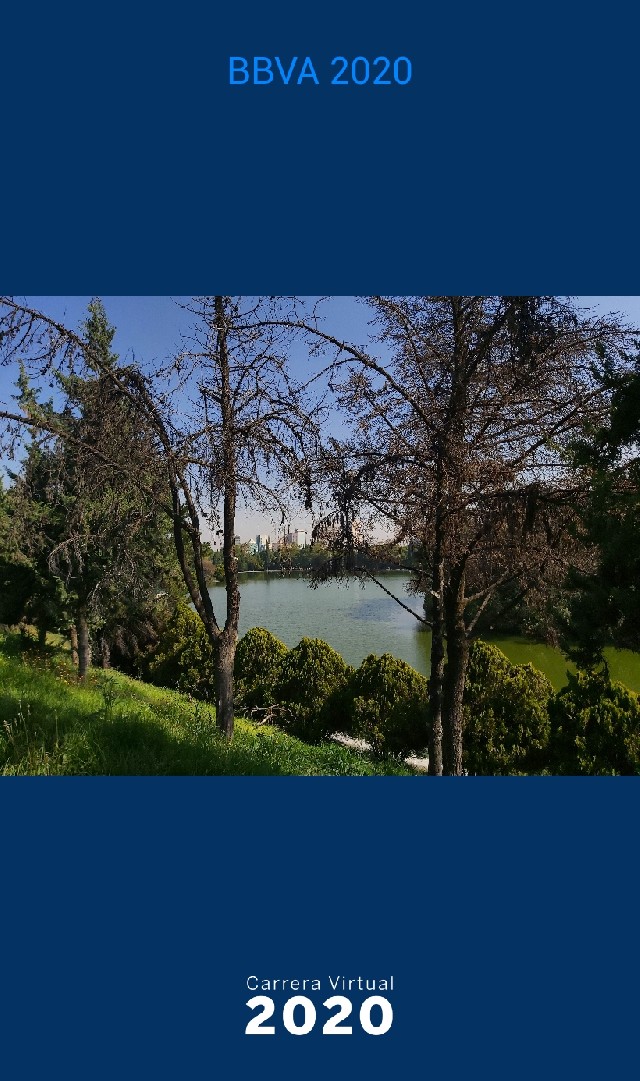 alejandra torres moreno