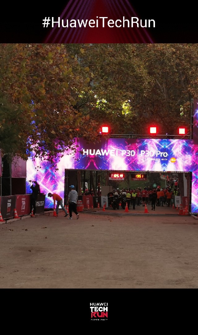 Nicolas Ried Rondanelli 