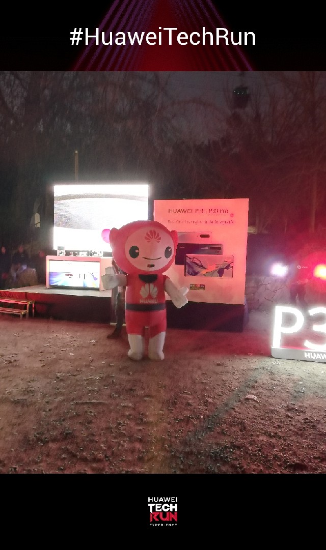 daniel torres fuenzalida