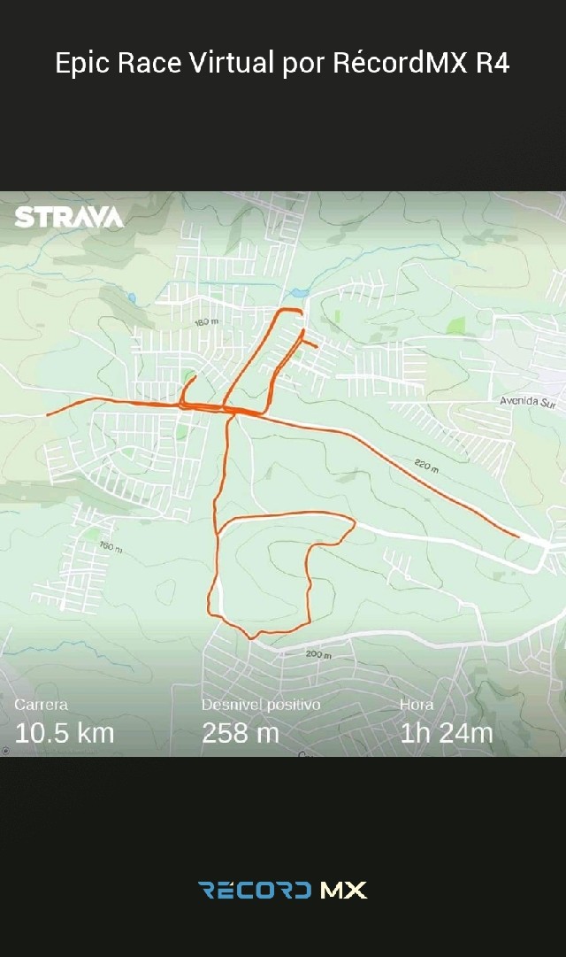 María de jesus loyola barreto