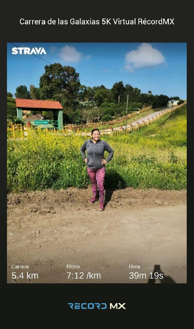 María de jesus loyola barreto