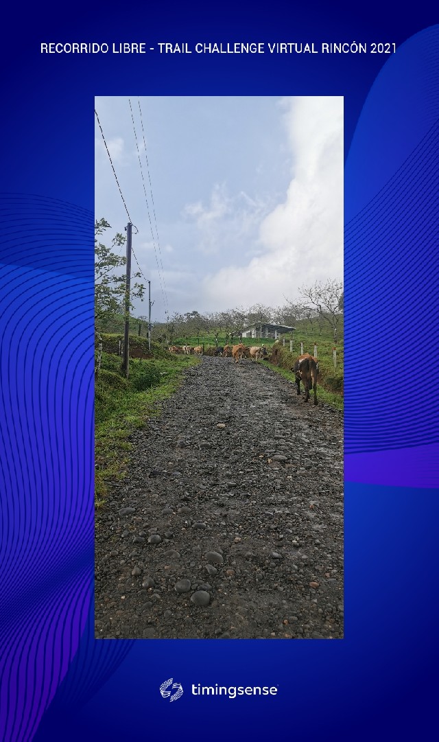 Franklin  Vargas Monge