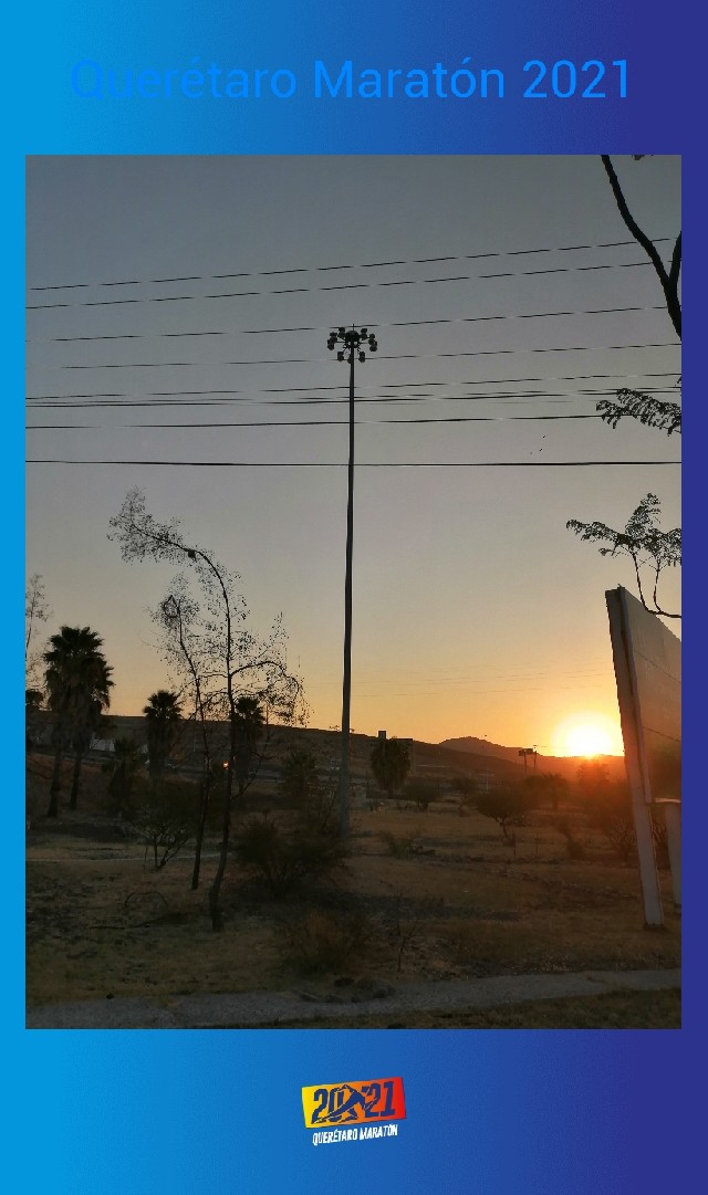 Mariana Téllez Chávez