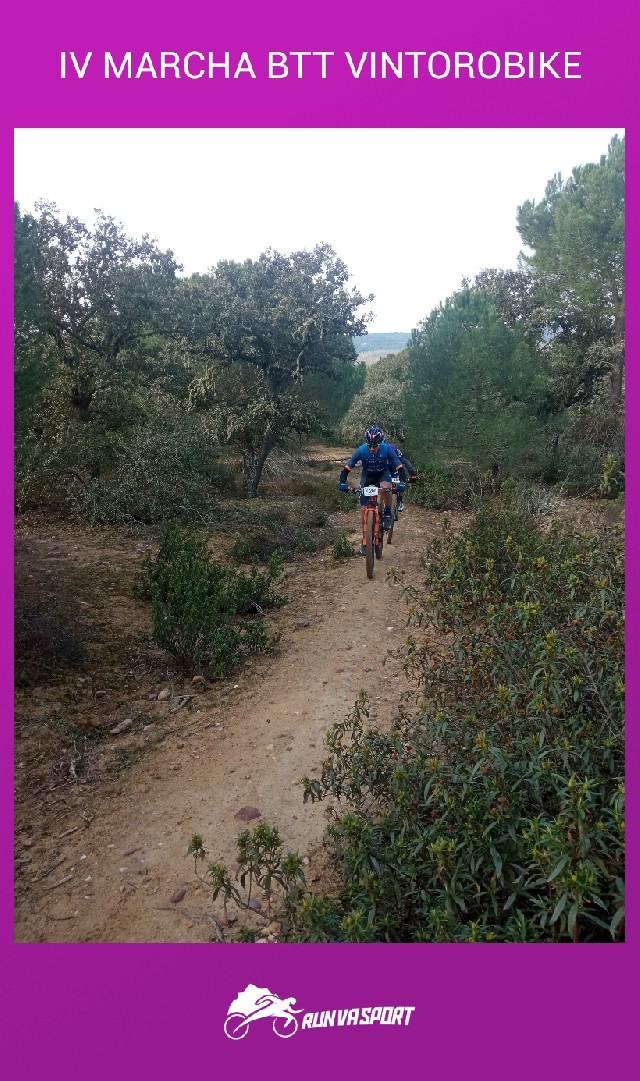 Alberto Garcia Jimenez