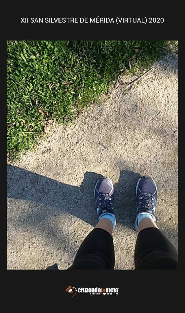 Mercedes Gómez de Segura Iriarte