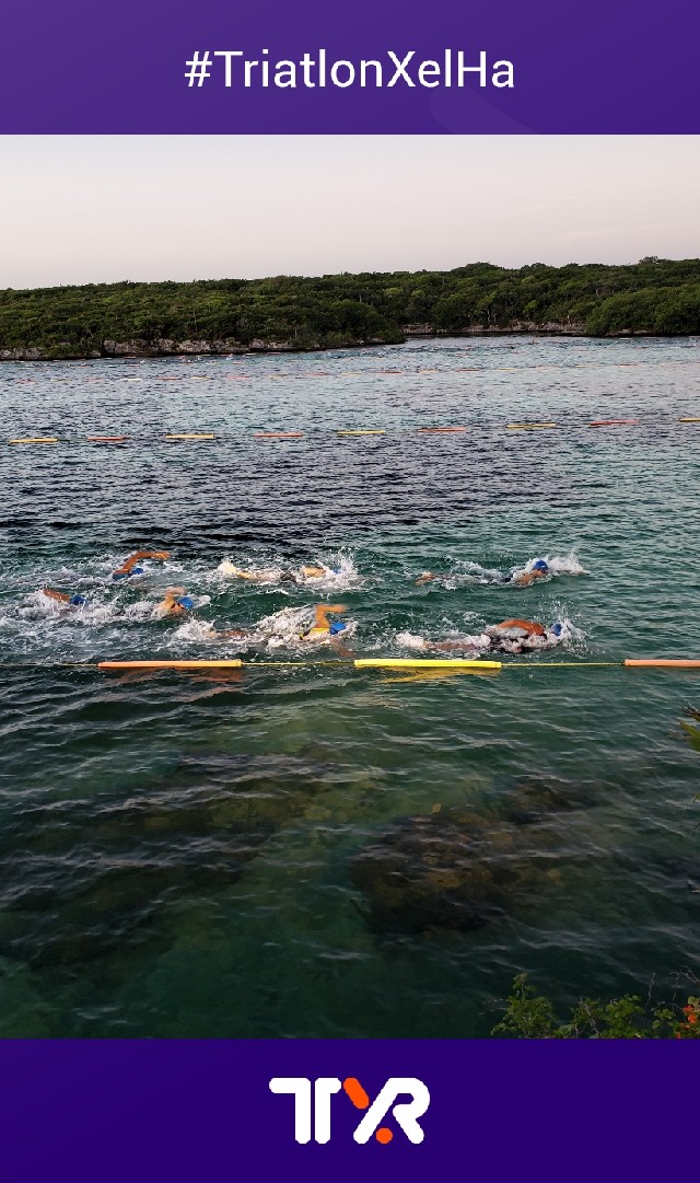 Alejandro Gomez Sánchez 