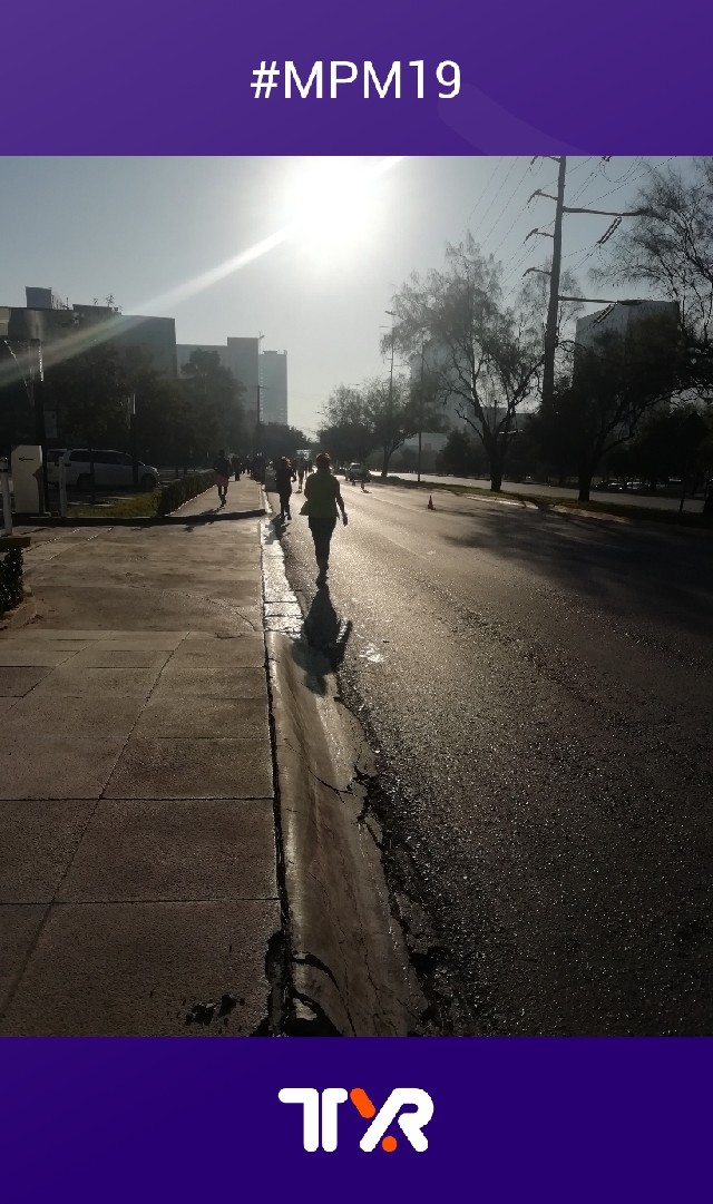 Jose Sepulveda Garza