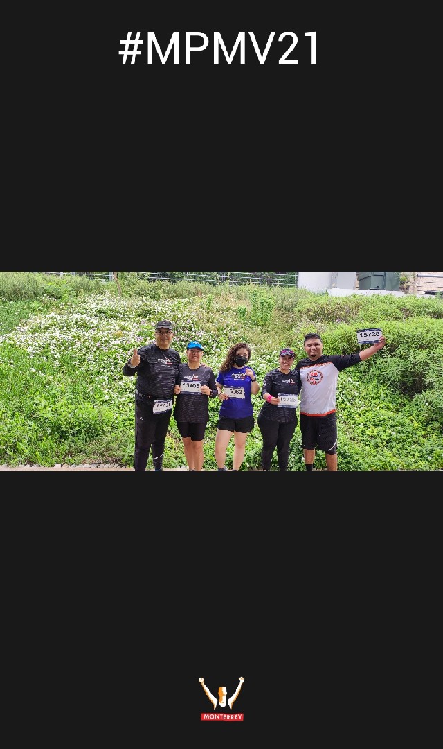 Jesús María Treviño flores