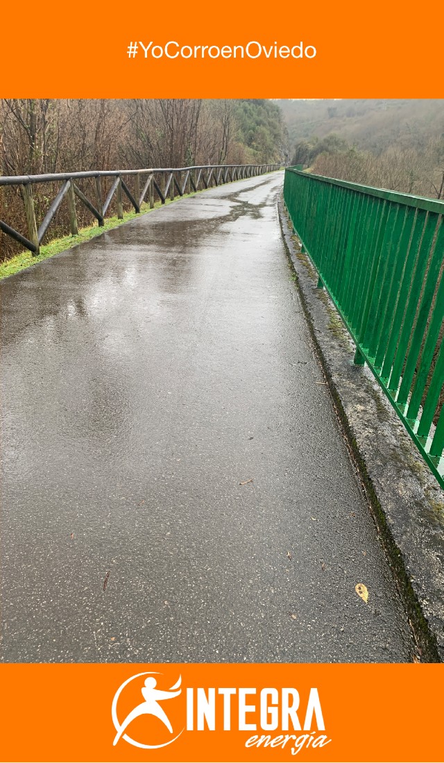 Jaime  Fernandez Fernandez 