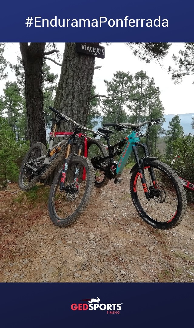 Israel  Melgar Ramírez 