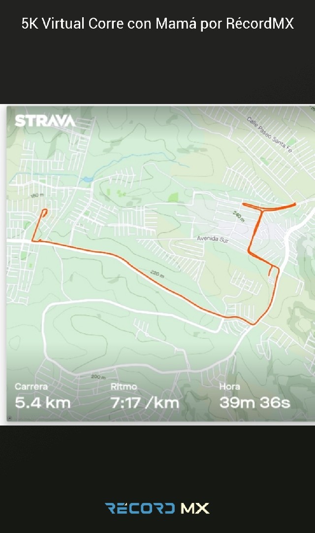 rosa maria del angel de la luz